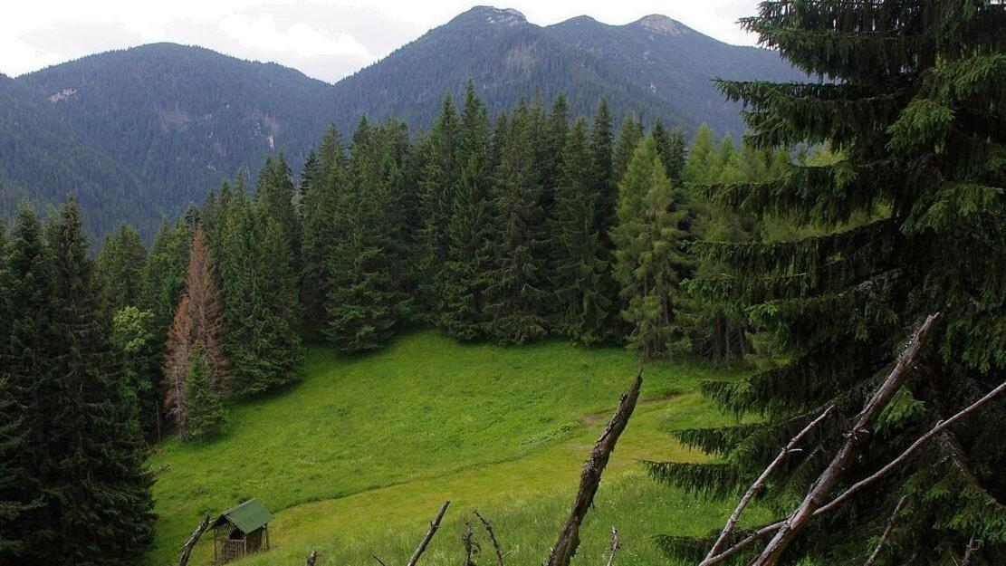 Chata Vypo Liptovský Ján Esterno foto